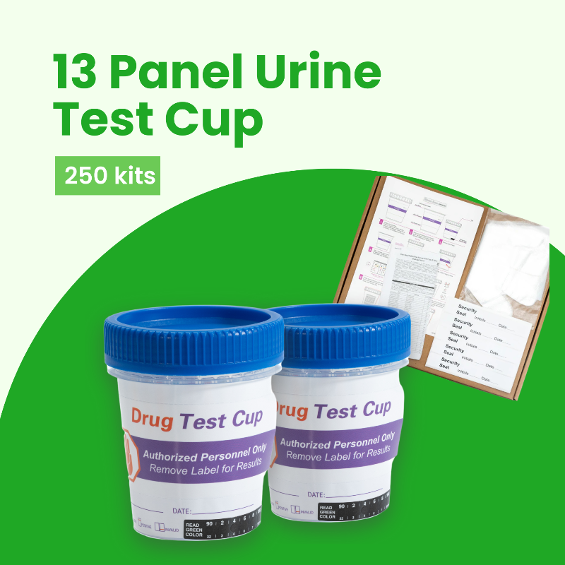 13_Urine