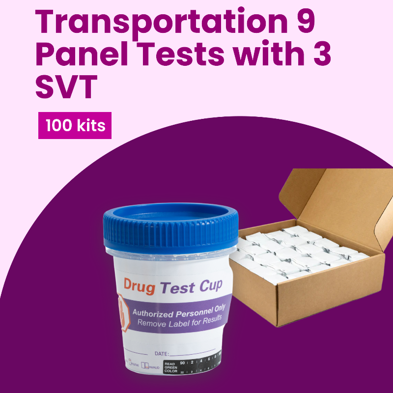 Transportation 100